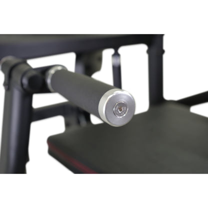 Commercial Dual Line Chin-Up / Dip